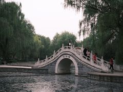 -洛阳市隋唐城遗址植物园