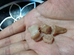 -烂瓦罐刘家猪蹄坊(药王洞店)