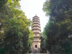 -灵谷景区