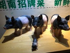 -小稻田辣椒炒肉(大浪商业中心店)