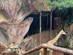 -长鹿旅游休博园