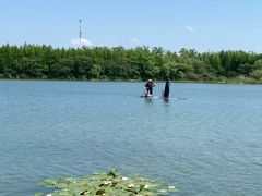 -溱湖国家湿地公园