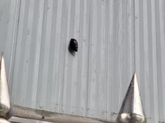 -红旗山庄(圭峰山店)