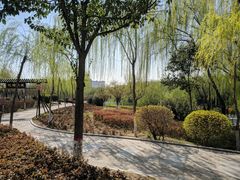 -西安汉城湖景区