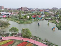 -荷兰花海