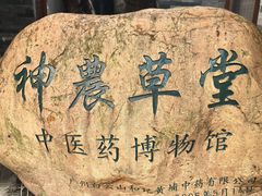 -广州神农草堂中医药博物馆