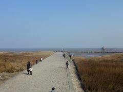 -南汇嘴观海公园