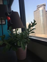 点击看大图 -TSO 慕尚·微潮派