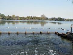 -西湖外事游船(花港观鱼码头)