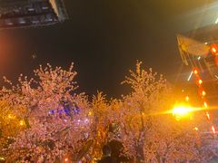 -如家商旅酒店(成都太古里双桥子店)