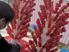 -三圣花乡旅游区