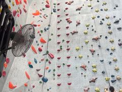 -尽峰攀岩 Acme Climbing