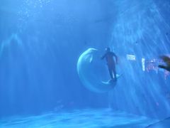 -多彩贵州城极地海洋世界