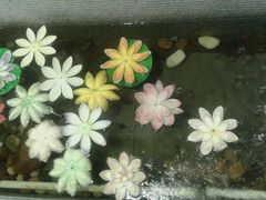 android_upload_pic-渔米粥(罗湖店)