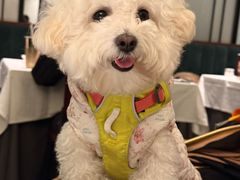 -炳胜私厨(万象前海店)