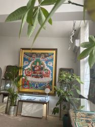 -沐迪珠宝&法佑艺术疗愈空间