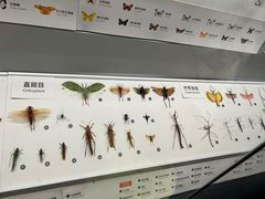 -四川大学博物馆