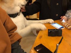 -餐酒吧Com-ing Bar(上海路店)