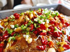 平锅鲈鱼-粥满堂养生餐厅(学苑路店)