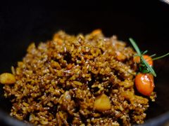 焖饭-回到森林计划