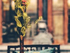 -鱼桥巷·美学川菜