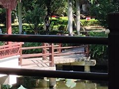 -范蠡湖公园