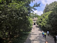-灵谷景区