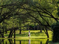 -上海共青森林公园