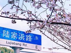 -龙美术馆(西岸馆)