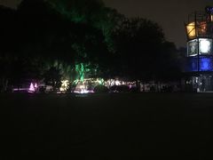 -枫花园汽车电影院(朝阳公园店)