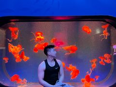 -南昌融创海世界