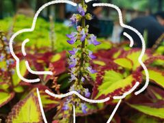 -西安市长乐公园