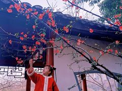 -重庆彩云湖湿地公园