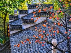 -婺源风景区