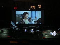 -枫花园汽车电影院(朝阳公园店)