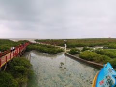 -北海金海湾红树林生态旅游区