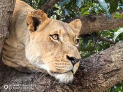 -卡塞拉自然公园