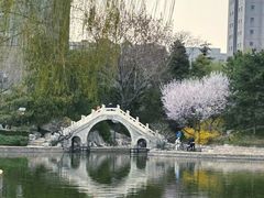 -团结湖公园