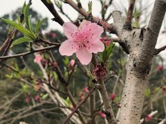 -旺山·浪头人家