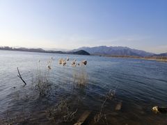 景点-十三陵水库