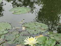 -人民公园(罗湖区)