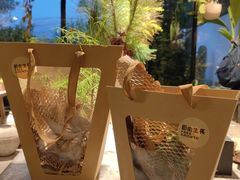 -自由生长植物工作室(深港花卉中心店)