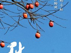 -丹山赤水风景名胜区