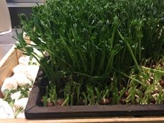 -夫妻肺片·中华老字号·正宗川菜(春熙路店)