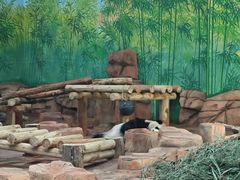 -秦皇岛野生动物园