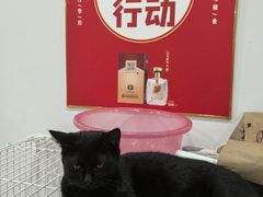 -夏家大锅台炖鱼馆