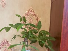 -小八仙·宴(三峡茶庄店)