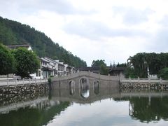 -大湾区中央湿地公园