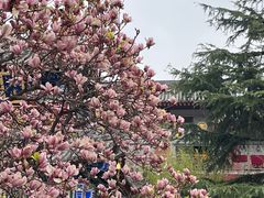 -西安市广仁寺