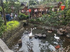 -青城甲(青城山店)